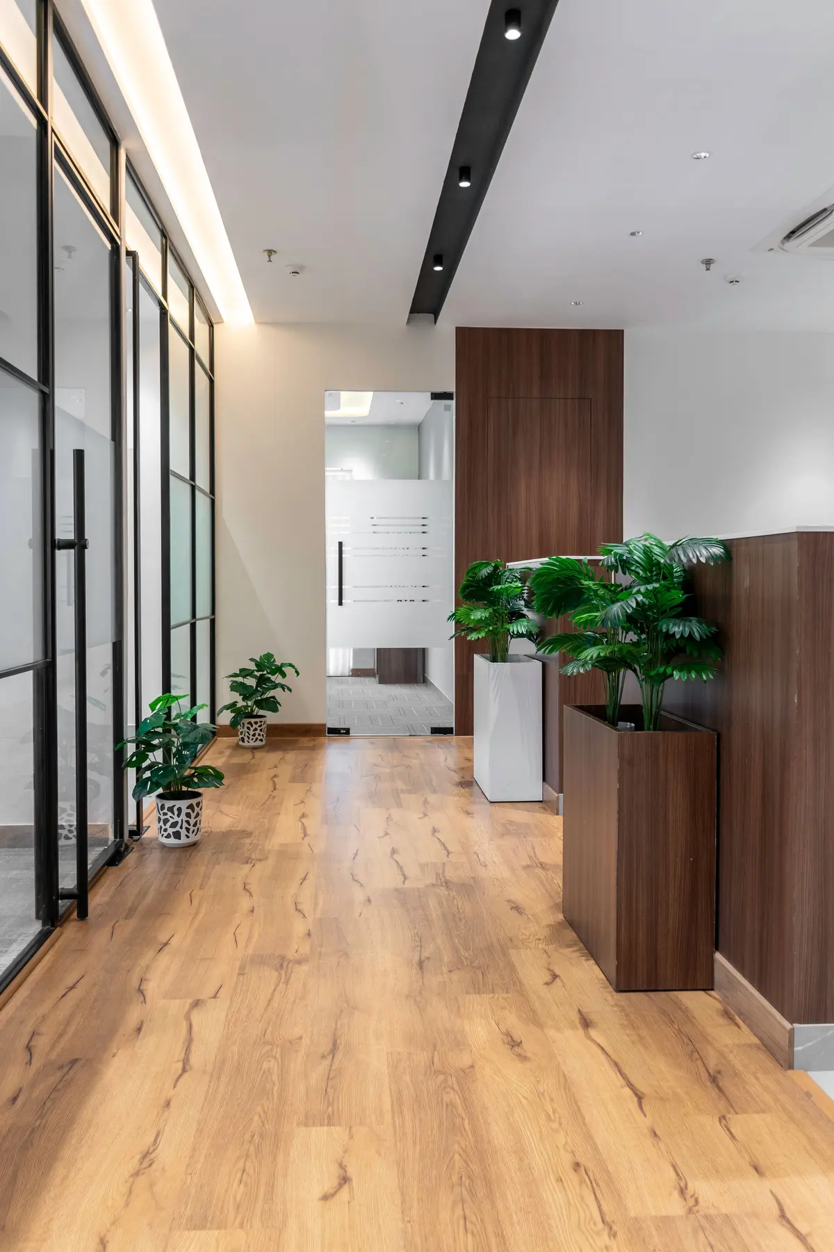 Contemporary laminate flooring in a hallway