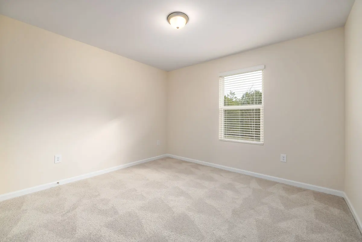 Bright carpet flooring
